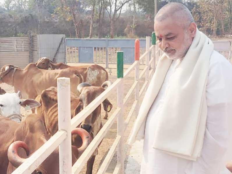 Brahmachari Girish ji has visited Gau Seva and Anusandhan Kendra Devlapar near Nagpur. He has seen big Gaushala, Panchgavya based Ayurveda medicine production unit, organic manure production unit, and products display centre.