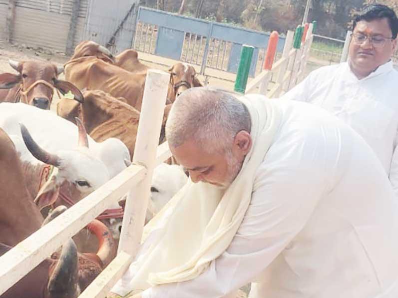 Brahmachari Girish ji has visited Gau Seva and Anusandhan Kendra Devlapar near Nagpur. He has seen big Gaushala, Panchgavya based Ayurveda medicine production unit, organic manure production unit, and products display centre.