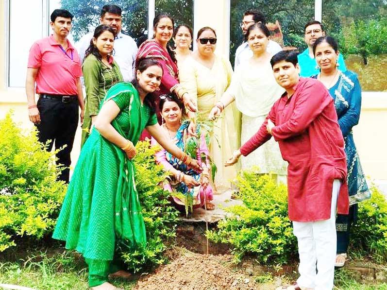MVM Nadaun Main: Hariyali Teej was celebrated at Maharishi Vidya Mandir Nadaun Main with great joy and happiness.